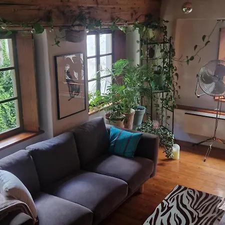 Magic Garden In The Heart Of Apartment
