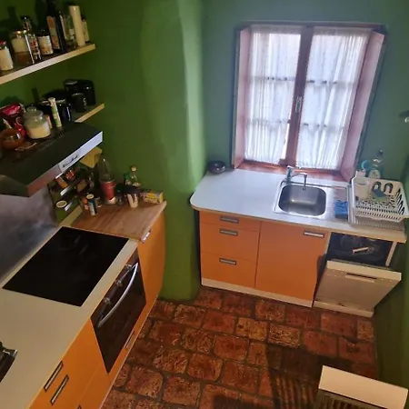 Magic Garden In The Heart Of * 류블랴나