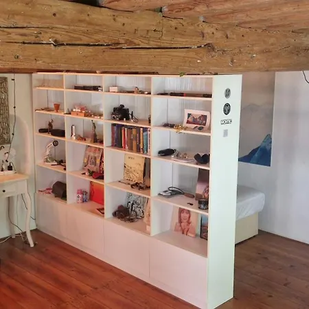 Magic Garden In The Heart Of * 류블랴나