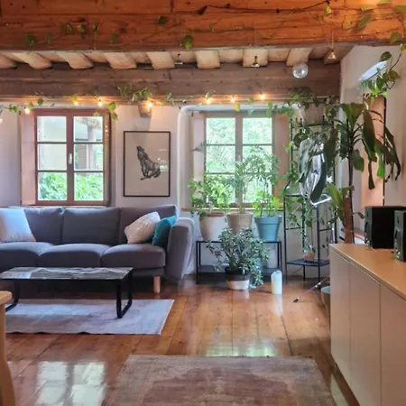 Magic Garden In The Heart Of * Liubliana