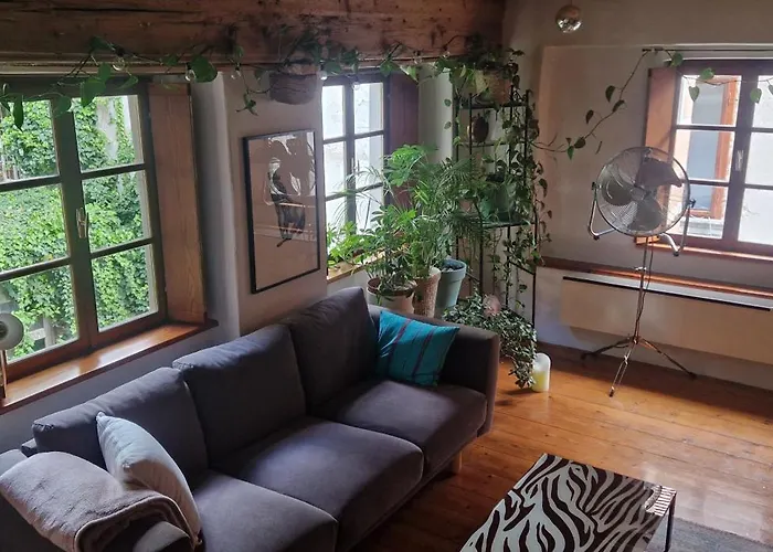 Magic Garden In The Heart Of Apartment