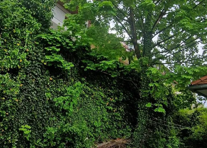 Magic Garden In The Heart Of