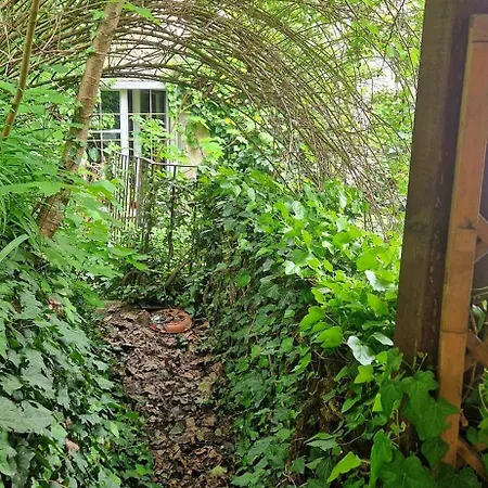 Apartman Magic Garden In The Heart Of *